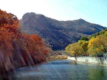 管家婆黑白马报图库，广东香猪